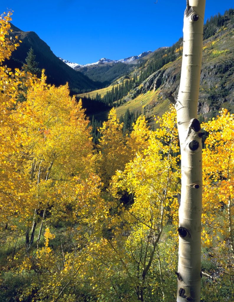 aspen 669294 1920