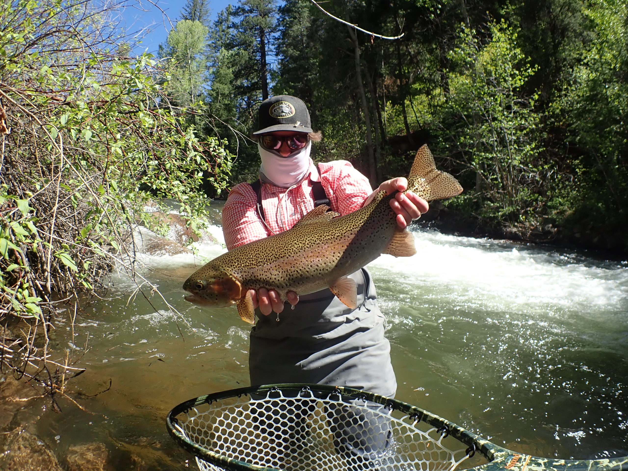 The Dry Fly Retreat